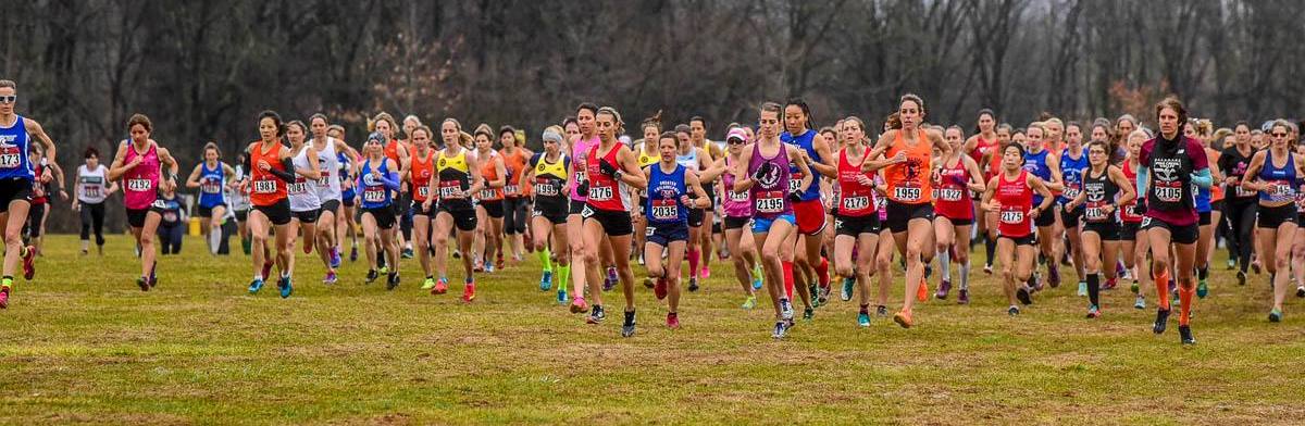 Cover photo for Welcome to Masters Cross Country